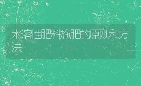 水溶性肥料施肥的原则和方法 | 种植肥料施肥