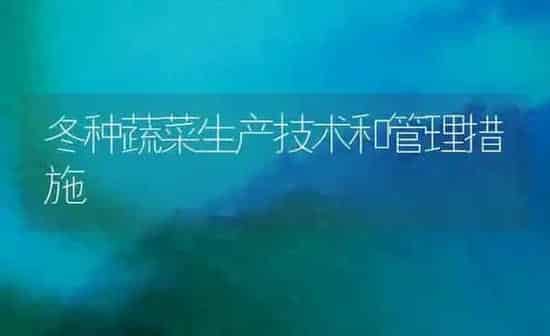 冬种蔬菜生产技术和管理措施 | 蔬菜种植