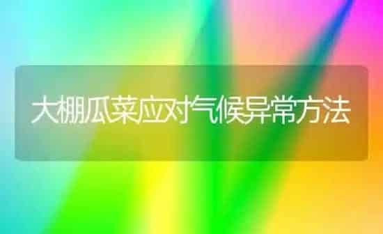 大棚瓜菜应对气候异常方法 | 蔬菜种植