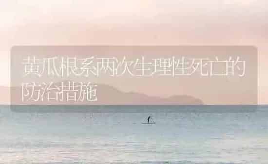 黄瓜根系两次生理性死亡的防治措施 | 蔬菜种植