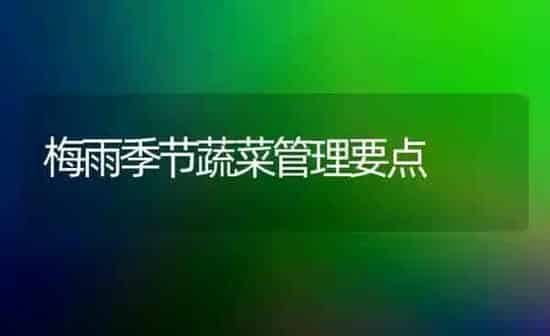 梅雨季节蔬菜管理要点 | 蔬菜种植