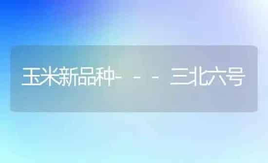 玉米新品种---三北六号 | 粮油作物种植