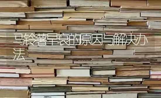 马铃薯早衰的原因与解决办法 | 粮油作物种植