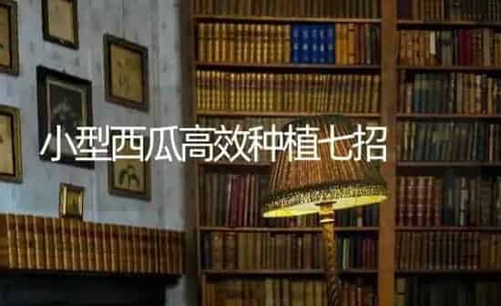 小型西瓜高效种植七招 | 植物种植百科