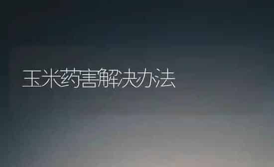 玉米药害解决办法 | 粮油作物种植