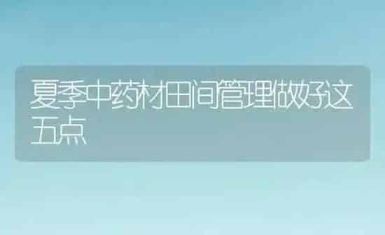 夏季中药材田间管理做好这五点 | 药材种植