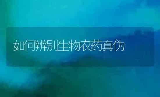 如何辨别生物农药真伪 | 种植病虫害防治