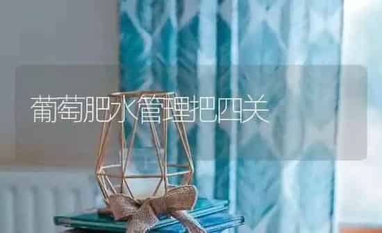 葡萄肥水管理把四关 | 瓜果种植