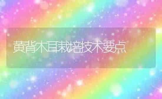 黄背木耳栽培技术要点 | 食用菌种植