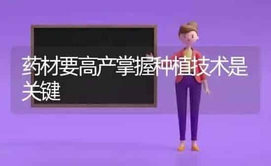 药材要高产掌握种植技术是关键 | 药材种植