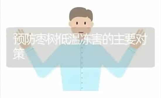 预防枣树低温冻害的主要对策 | 瓜果种植