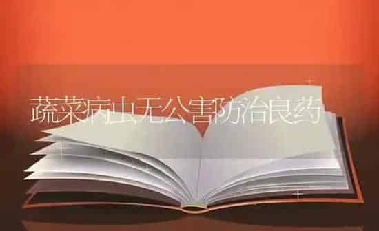 蔬菜病虫无公害防治良药 | 蔬菜种植