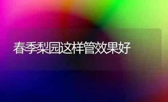 春季梨园这样管效果好 | 瓜果种植
