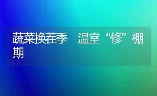 蔬菜换茬季 温室“修”棚期 | 蔬菜种植