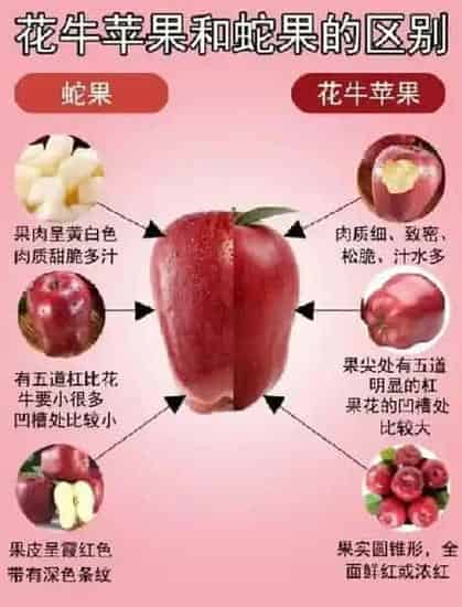 果实科普|蛇果与花牛苹果的区别图片 怎么区分花牛苹果和蛇果