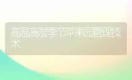 高温高湿季节苹果园管理技术 | 瓜果种植