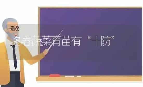 冬春蔬菜育苗有“十防” | 蔬菜种植