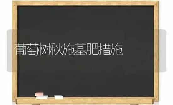 葡萄树秋施基肥措施 | 瓜果种植