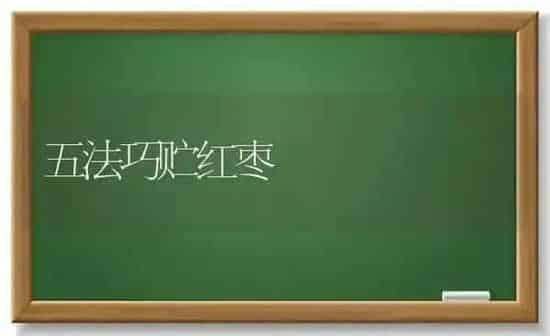 五法巧贮红枣 | 瓜果种植