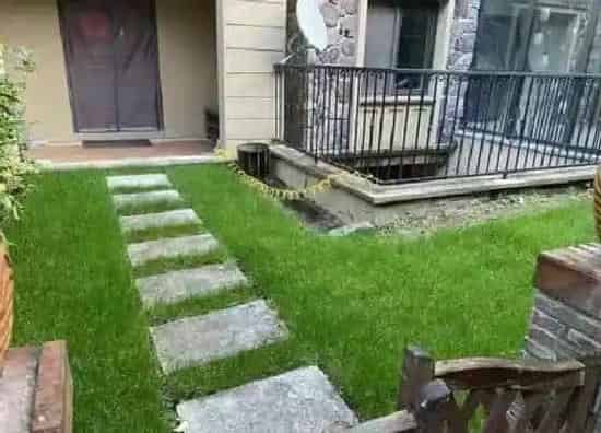 生长环境|黑麦草生长温度是多少度