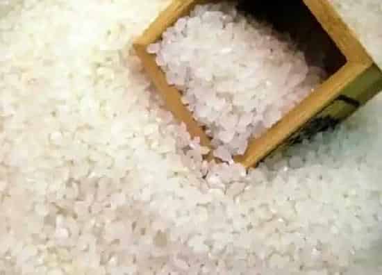 植物百科|粳米和糯米一样吗 有什么区别点