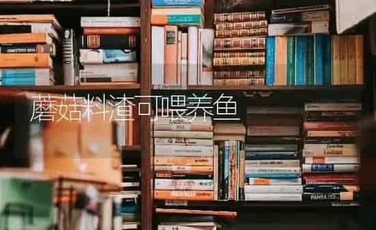 蘑菇料渣可喂养鱼 | 食用菌种植