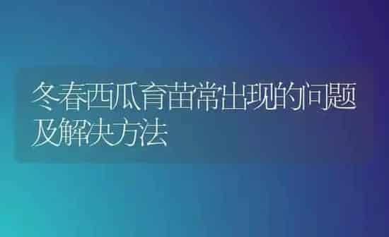 冬春西瓜育苗常出现的问题及解决方法 | 瓜果种植