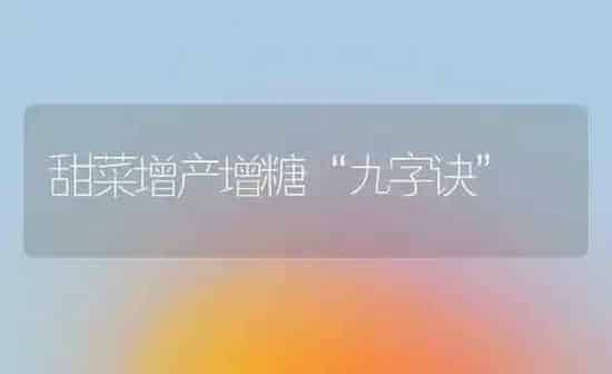 甜菜增产增糖“九字诀” | 蔬菜种植