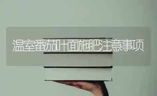 温室番茄叶面施肥注意事项 | 种植肥料施肥
