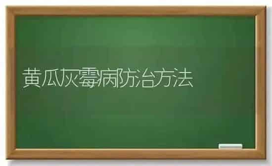 黄瓜灰霉病防治方法 | 蔬菜种植