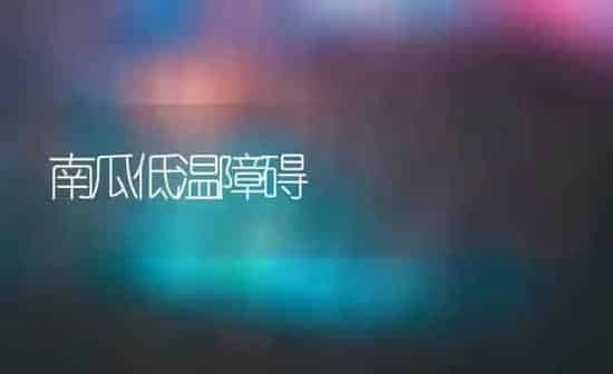 南瓜低温障碍 | 蔬菜种植