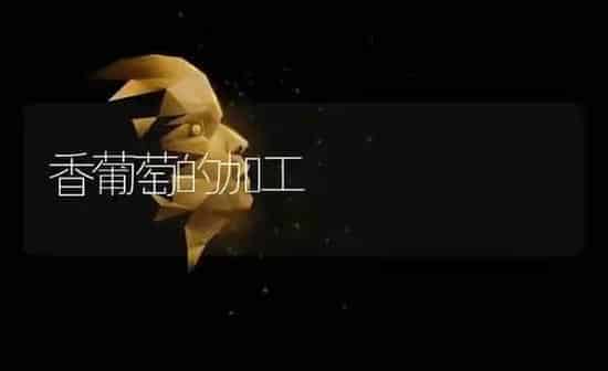 香葡萄的加工 | 瓜果种植