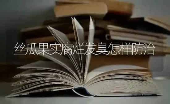 丝瓜果实腐烂发臭怎样防治 | 瓜果种植
