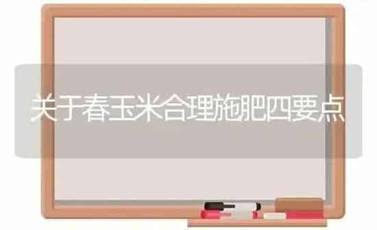 关于春玉米合理施肥四要点 | 种植肥料施肥