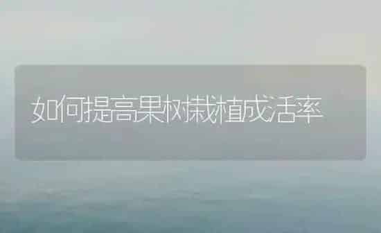 如何提高果树栽植成活率 | 瓜果种植
