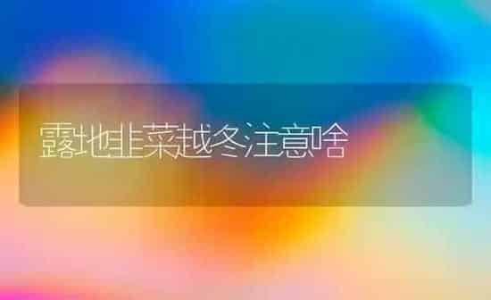 露地韭菜越冬注意啥 | 蔬菜种植