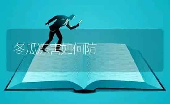 冬瓜冻害如何防 | 蔬菜种植