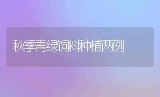 秋季青绿饲料种植两例 | 植物种植百科