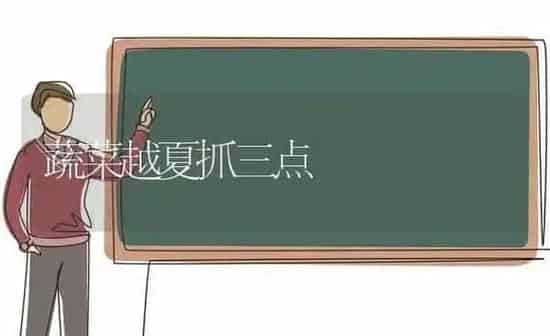 蔬菜越夏抓三点 | 蔬菜种植