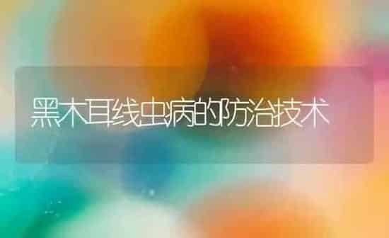 黑木耳线虫病的防治技术 | 食用菌种植