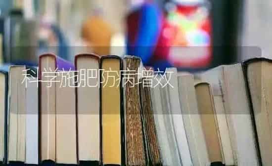科学施肥防病增效 | 种植肥料施肥