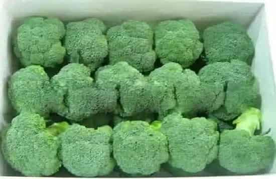 种植方法|西兰花种植时间和方法 高产栽培技术与管理措施