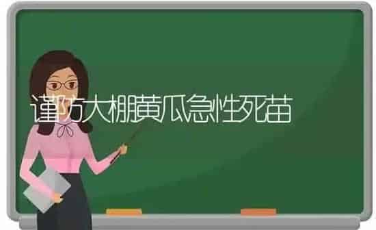 谨防大棚黄瓜急性死苗 | 蔬菜种植