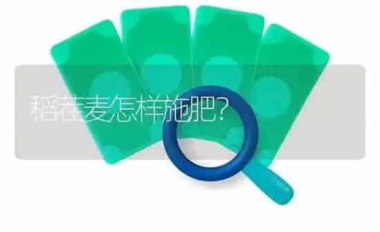 稻茬麦怎样施肥？ | 种植肥料施肥