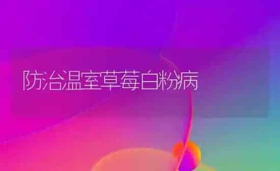 防治温室草莓白粉病 | 瓜果种植