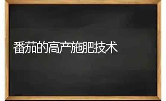 番茄的高产施肥技术 | 种植肥料施肥