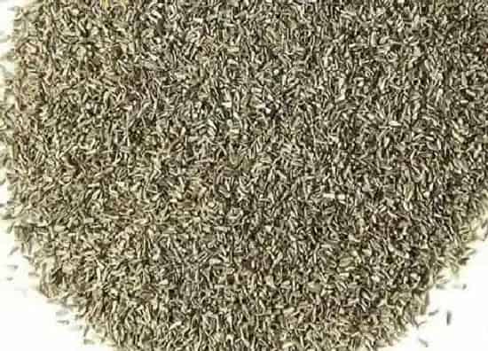 种植育种|菊花种子什么时候种植最好