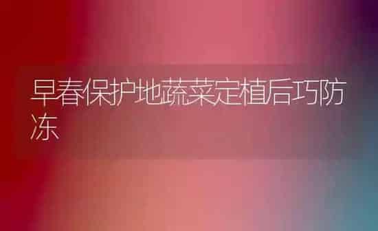 早春保护地蔬菜定植后巧防冻 | 蔬菜种植
