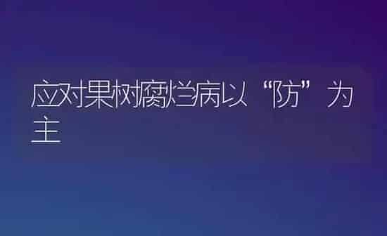 应对果树腐烂病以“防”为主 | 瓜果种植