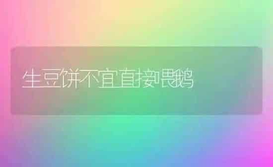 蔓生菜豆优良品种---超长四季豆 | 蔬菜种植